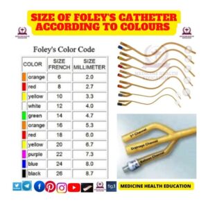Catheter Size 6