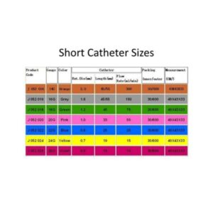 Catheter Size 8