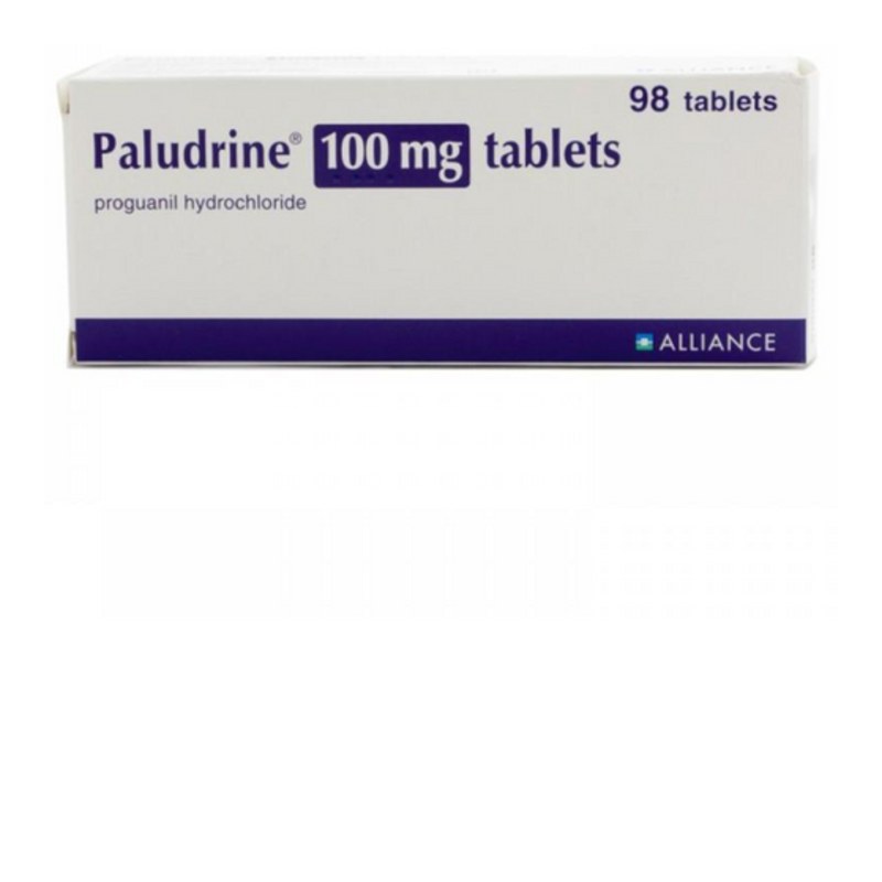 Proguanil Paludrine Hydrochloride Tablet 100mg Tablets